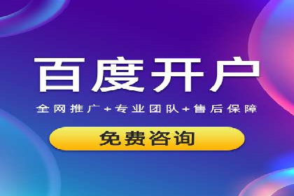 行业领先企业的SEM广告投放策略案例